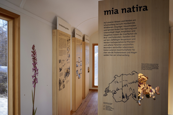 Ausstellung mia natira - Wiesen und Weiden am Schamserberg (©Naturpark Beverin) Ausstellung mia natira - Wiesen und Weiden am Schamserberg (©Naturpark Beverin)