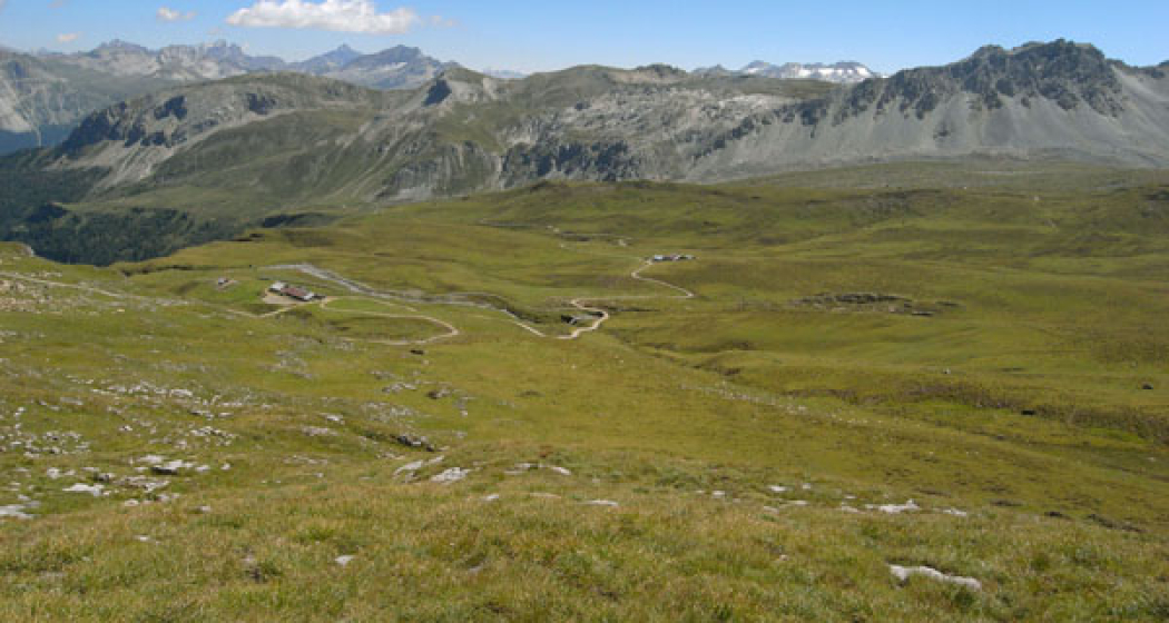 Alp Anarosa Bike (nsp_img_58bbec9)