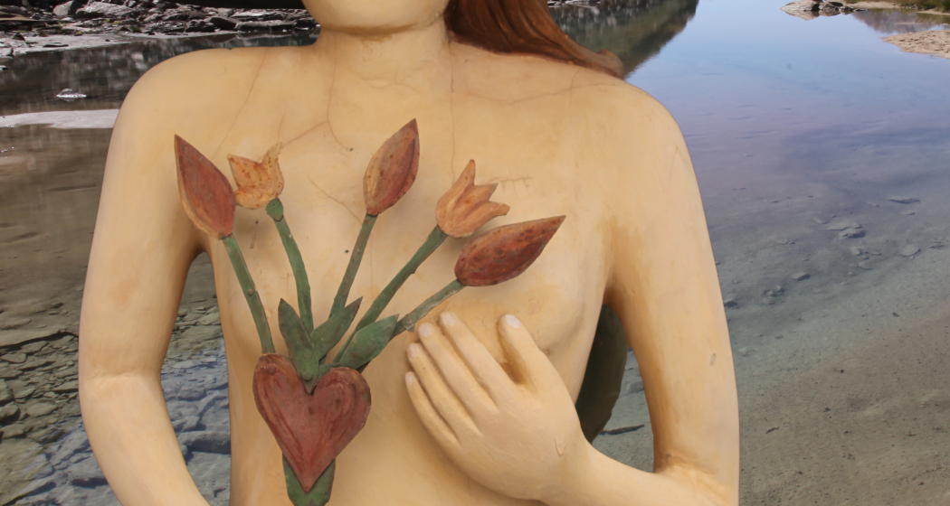 faszinaturRaum (nsp_img_ef601b4)