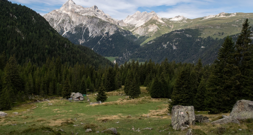 006.05 Alpenpässe-Weg - Ausserferrera – Splügen (oua_58055605_image)