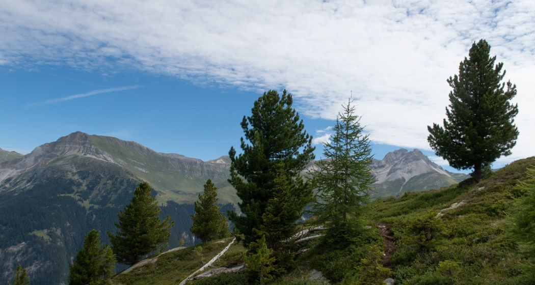 006.05 Alpenpässe-Weg - Ausserferrera – Splügen (oua_58055606_image)