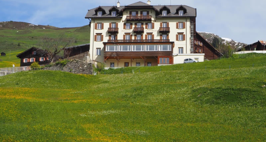 Pension Alpenblick Sommer Pension Alpenblick Sommer