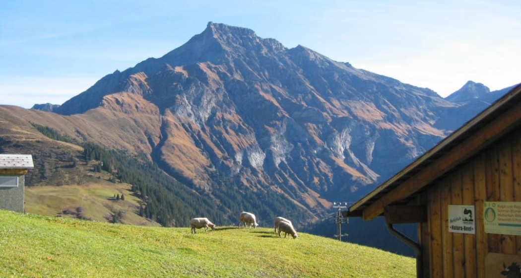Etappe 5: Piz Beverin von Innerglas Etappe 5: Piz Beverin von Innerglas