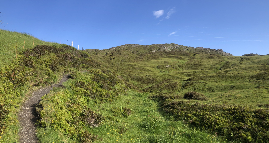 Weg von Glaspass auf den Glaser Grat