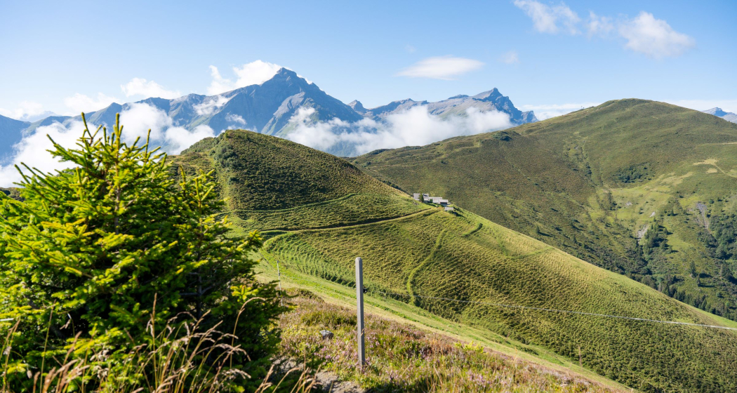 Alp Bischola vom Wanderweg