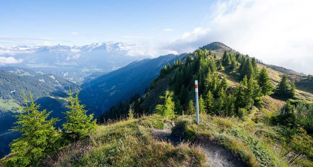 Heinzenberger Grat zwischen Präzer Höhi und Tguma