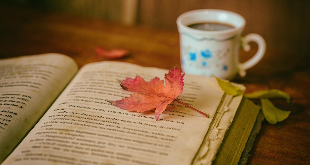 Bücherkaffee (gdl_894560302_image) Bücherkaffee (gdl_894560302_image)
