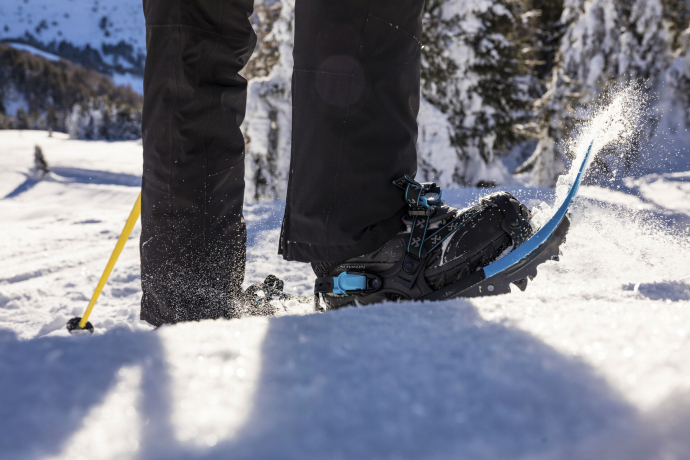 Thomi's Schneeschuhwanderung - San Bernardino - Hinterrhein (gdl_658763174_image)
