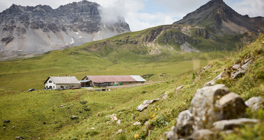 Alp Curtginatsch/Nurdagn