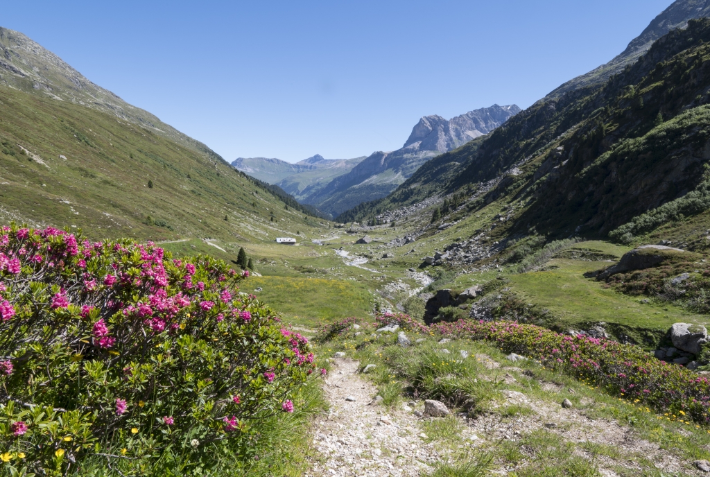 Wanderbus Val Niemet