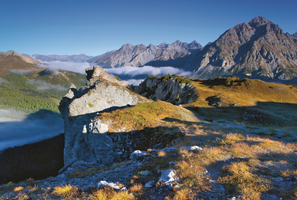 Der Schweizerische Nationalpark