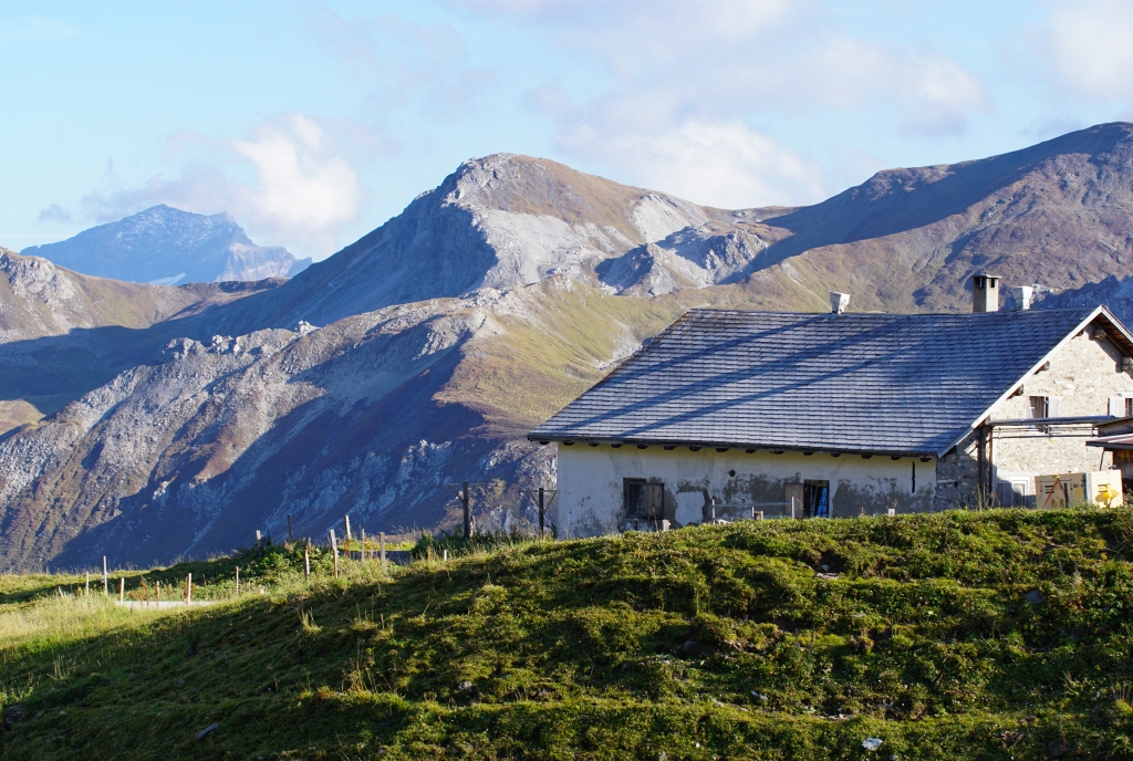 Alp Curtiginatsch