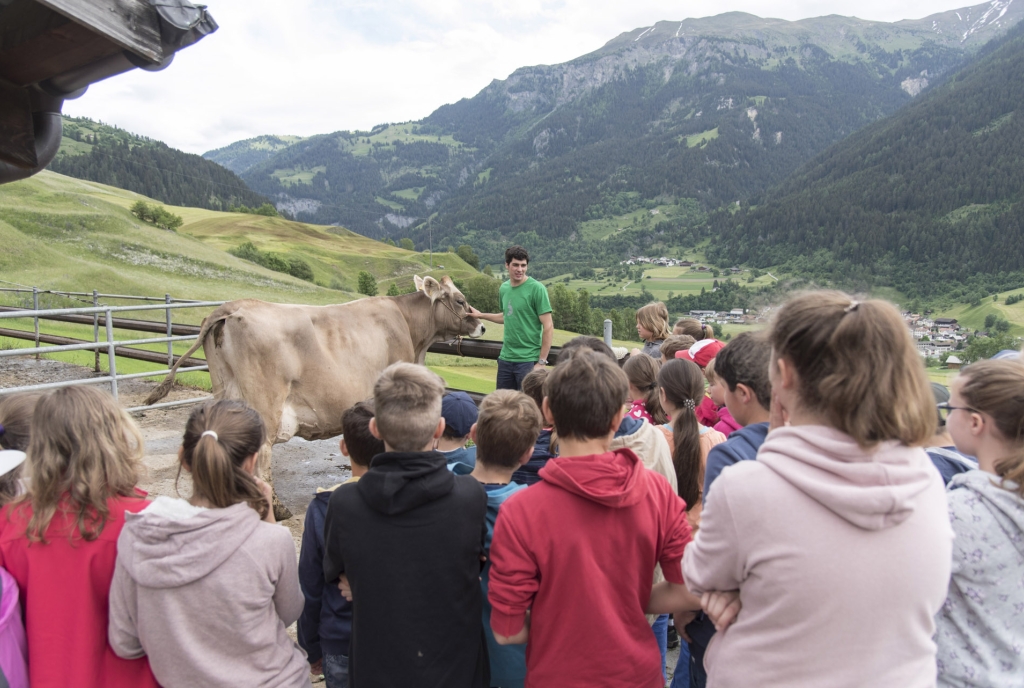 Projekttag Food for future in Donat (Bild: Reiner Schilling)