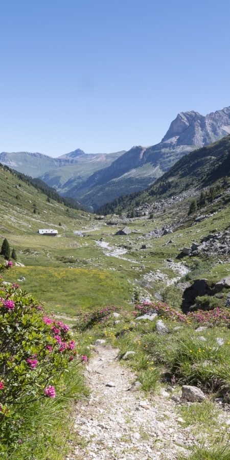 Wanderbus Val Niemet