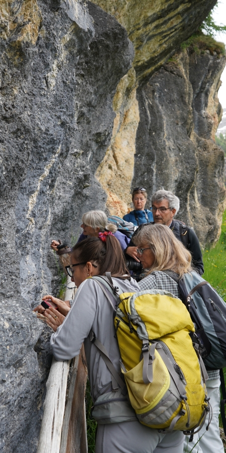 Tag der Artenvielfalt in Andeer Tag der Artenvielfalt in Andeer