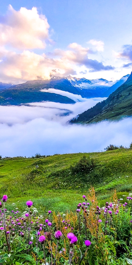 Alp Piänätsch auf dem Walserweg Graubünden