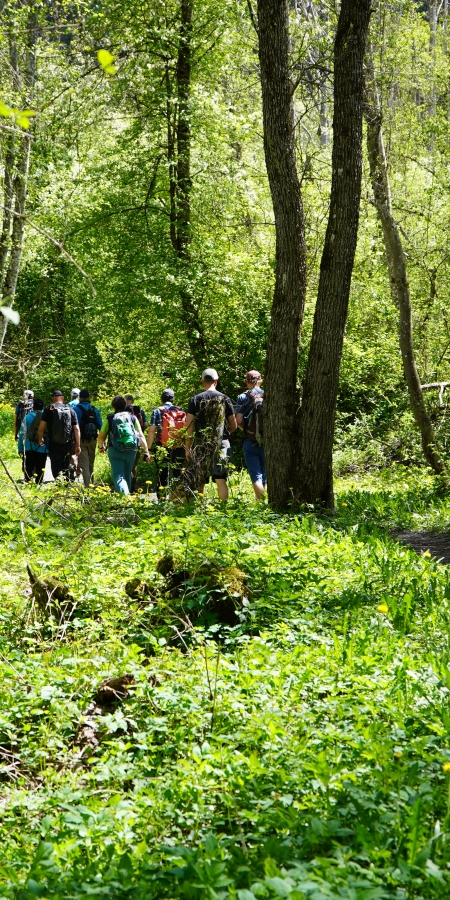 wanderweg exkursionsleiter gruppe wald wanderweg exkursionsleiter gruppe wald