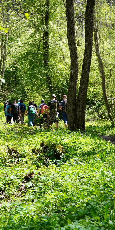 Exkursionsleiter wandern wald weg