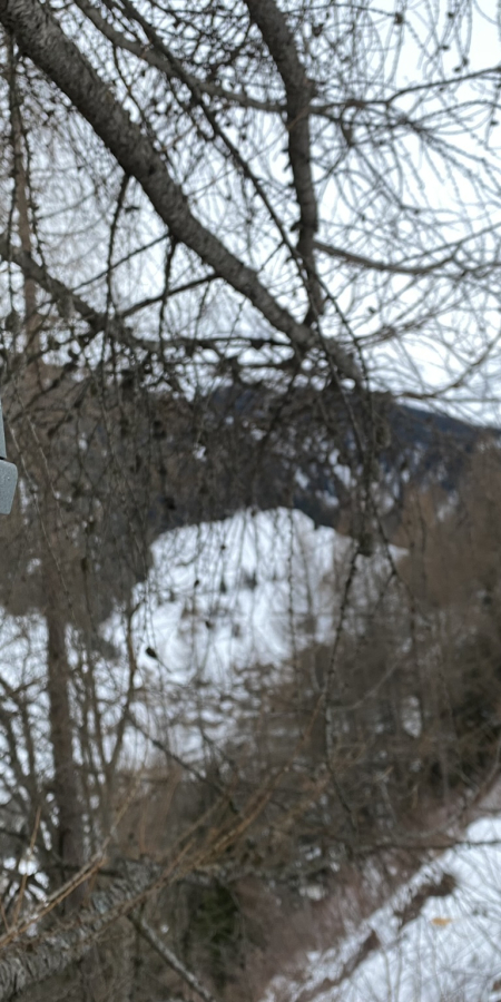 Automatische Kameras zählen, wie viele Skitourengänger:innen hier vorbeikommen. Eine automatische Kamera und ein Informationsschild an einem Baum vor verschneitem Weg.