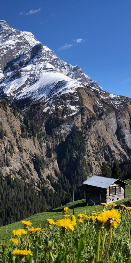 Camana Walserstall Safiental Frühling Naturparktour_NPB