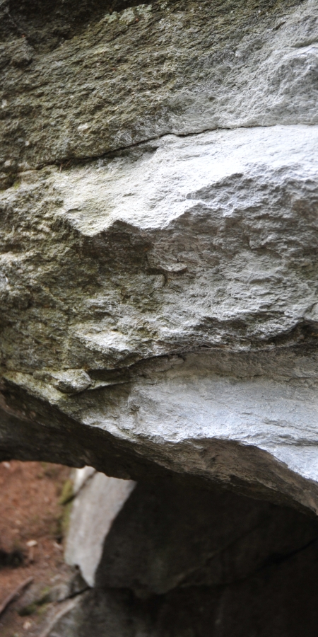 © Schilling Magic Wood in Ferrera