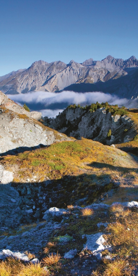 Der Schweizerische Nationalpark