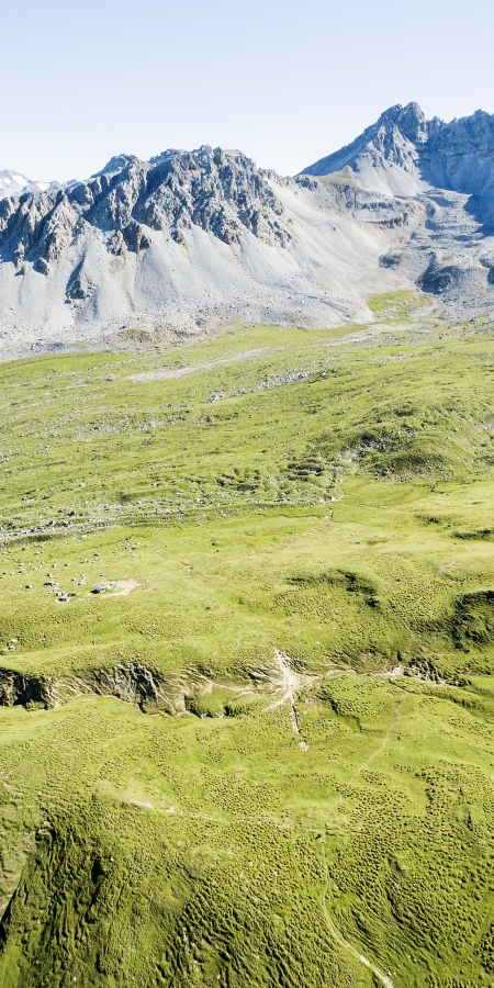 Moorlandschaft Alp Anarosa © Frank Brüderli Moorlandschaft Alp Anarosa © Frank Brüderli