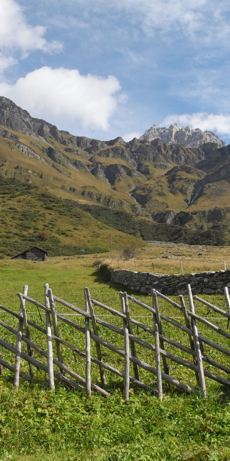 Stegelzaun im Safiental