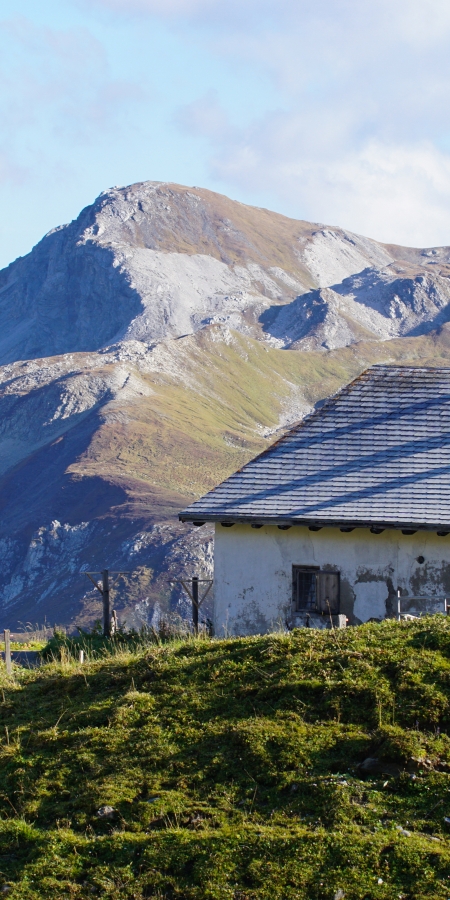 Alp Curtiginatsch