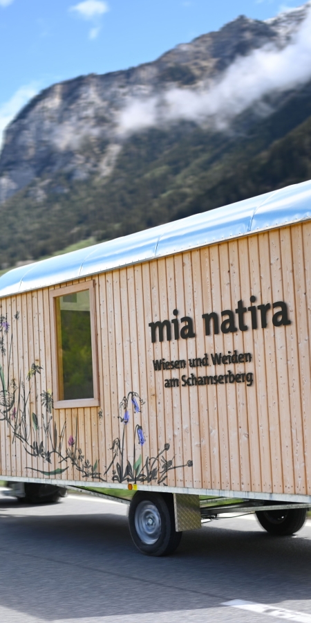 Ausstellung mia natira - Wiesen und Weiden am Schamserberg