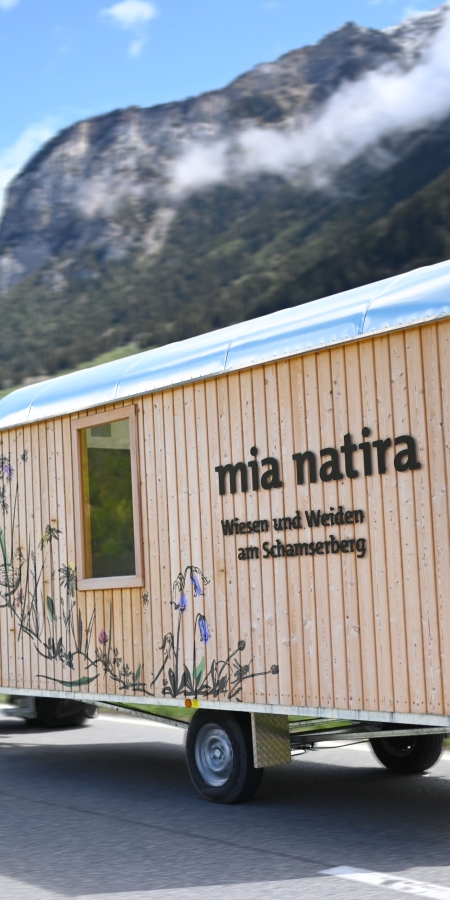 Ausstellung mia natira Ausstellung mia natira - Wiesen und Weiden am Schamserberg