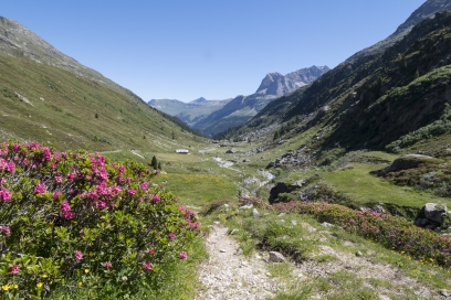 Wanderbus Val Niemet