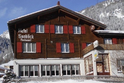 Hotel Seeblick Hotel Seeblick