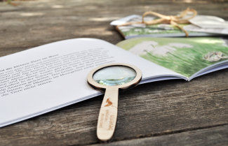 Kinderbuch "Ein Sommer mit Ana und Rosa" Kinderbuch "Ein Sommer mit Ana und Rosa"