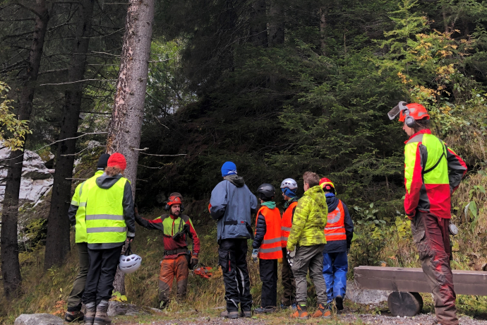Capricorn Club: Vom Baum zu fertigen Mitfahrstationen im Safiental. Capricorn Club: Vom Baum zu fertigen Mitfahrstationen im Safiental.