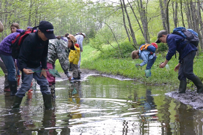 Schulklasse, Safiental, Biotop, Kinder