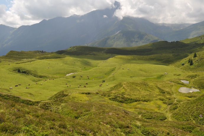 Ehemaliger trockener Lüschersee vor der Wiederaufstauung 2022 (© Naturpark Beverin) Ehemaliger trockener Lüschersee vor der Wiederaufstauung 2022 (© Naturpark Beverin)