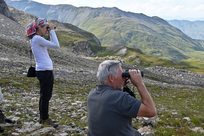 Wildtierbeobachtung am Schamserberg (©Naturpark Beverin)