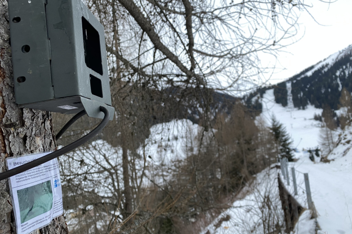 Automatische Kameras zählen im Naturpark Beverin, wie viele Skitourengänger:innen hier vorbeikommen. Automatische Kamera und Informationsschild an einem Baum neben verschneitem Weg.