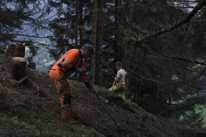 Waldräumung Medels. Zwei Männer säubern in einem Wald den Boden von Ästen.