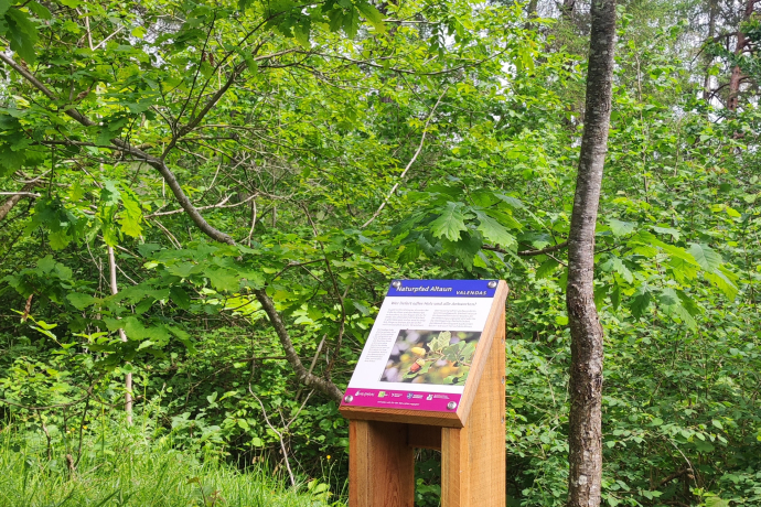 Naturpfad Altaun (© Naturpark Beverin)