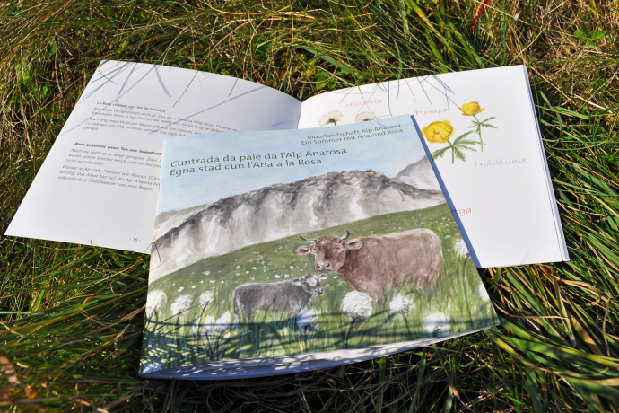 Kinderbuch Ein Sommer mit Ana und Rosa (© Naturpark Beverin)