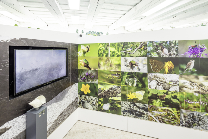 faszinaturRaum Valendas (© Mathias Kunfermann)