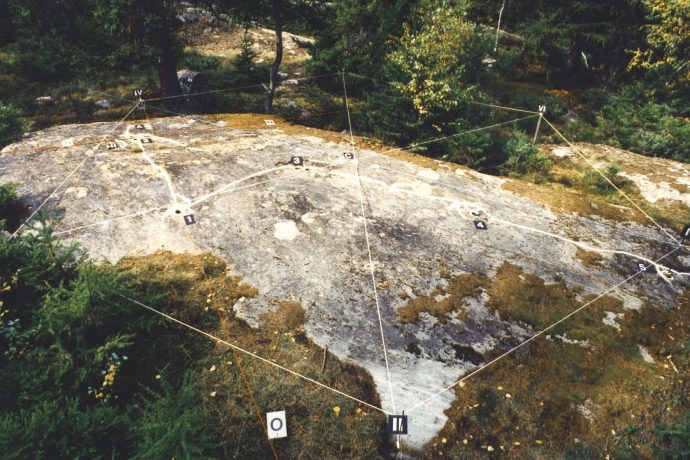 Schalenstein Hexagon Arsiert (c) Anselmo Gadola