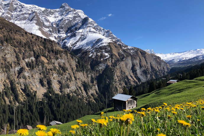 Camana Walserstall Safiental Frühling Naturparktour_NPB