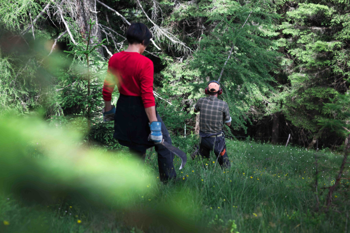 Arbeitseinsätze (Jana Figliuolo)