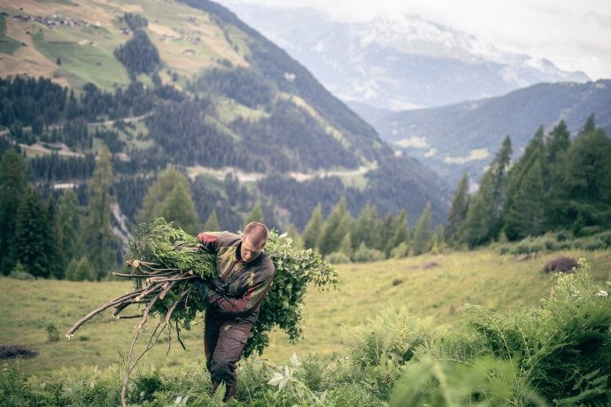 Waldalp Entbuschung (Jana Figliuolo) Waldalp Entbuschung (Jana Figliuolo)