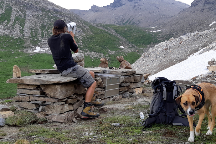 Wildtierbeobachtungspunkt erstellt an der Trockenmauer-Bauwoche Alperschälli