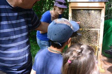 Imkerexkursion Andeer