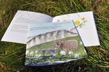 Kinderbuch Ein Sommer mit Ana und Rosa (© Naturpark Beverin)